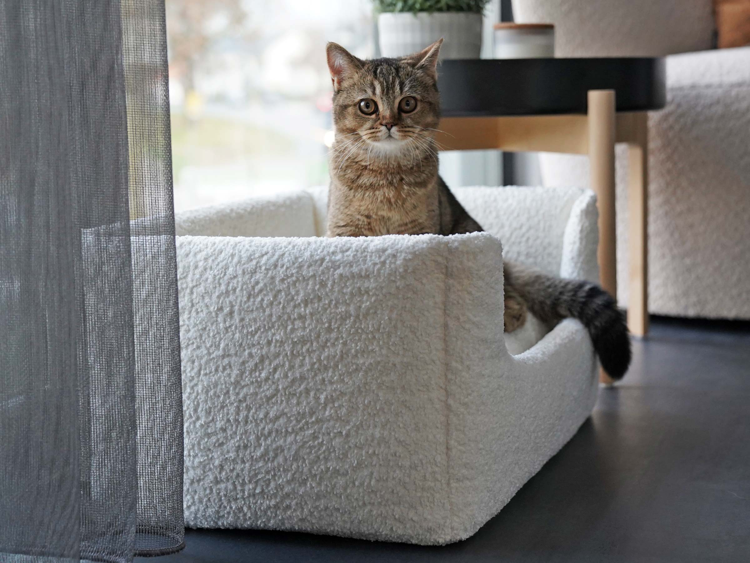 mypado Shara Bouclé Cat Bed