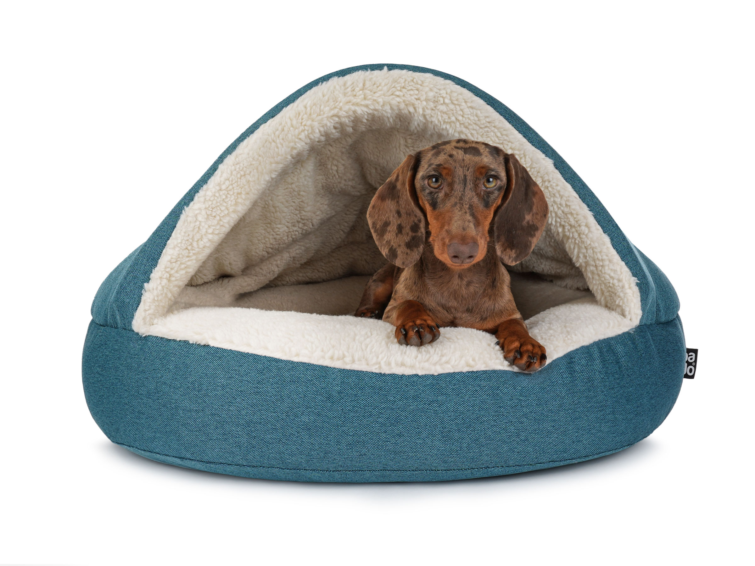 mypado Shell Mono Dog Cave