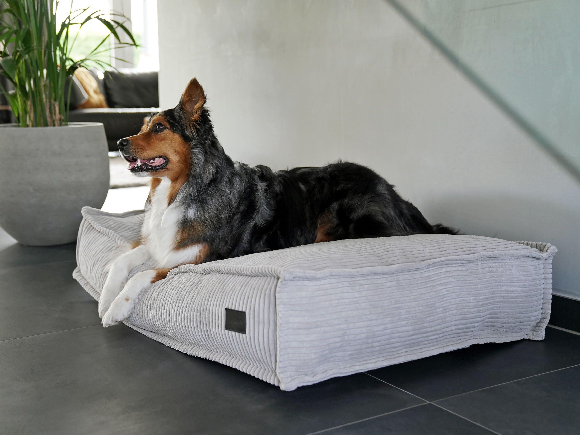 mypado Flow Cord Dog Cushion