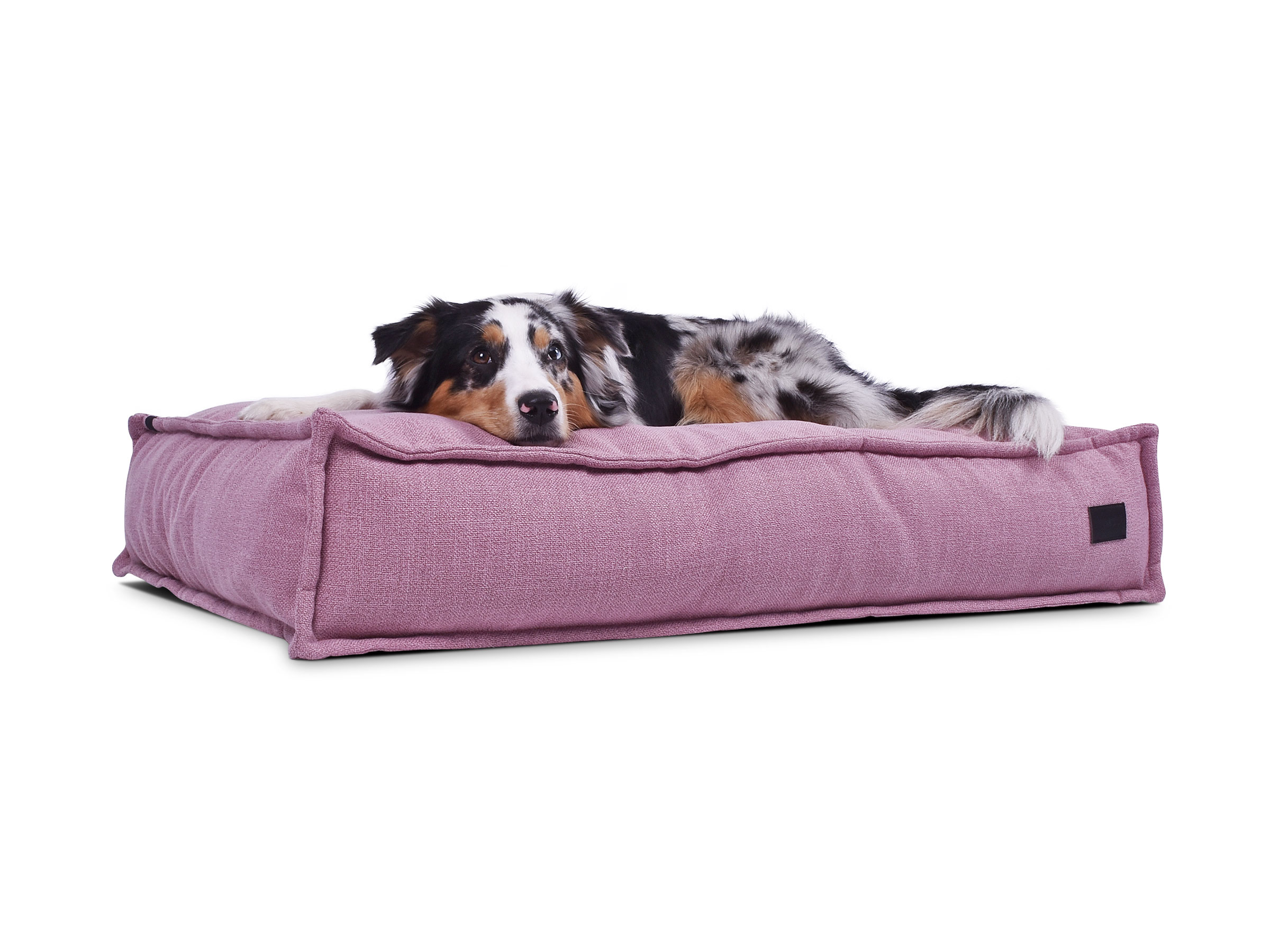 mypado Flow Structure Dog Cushion