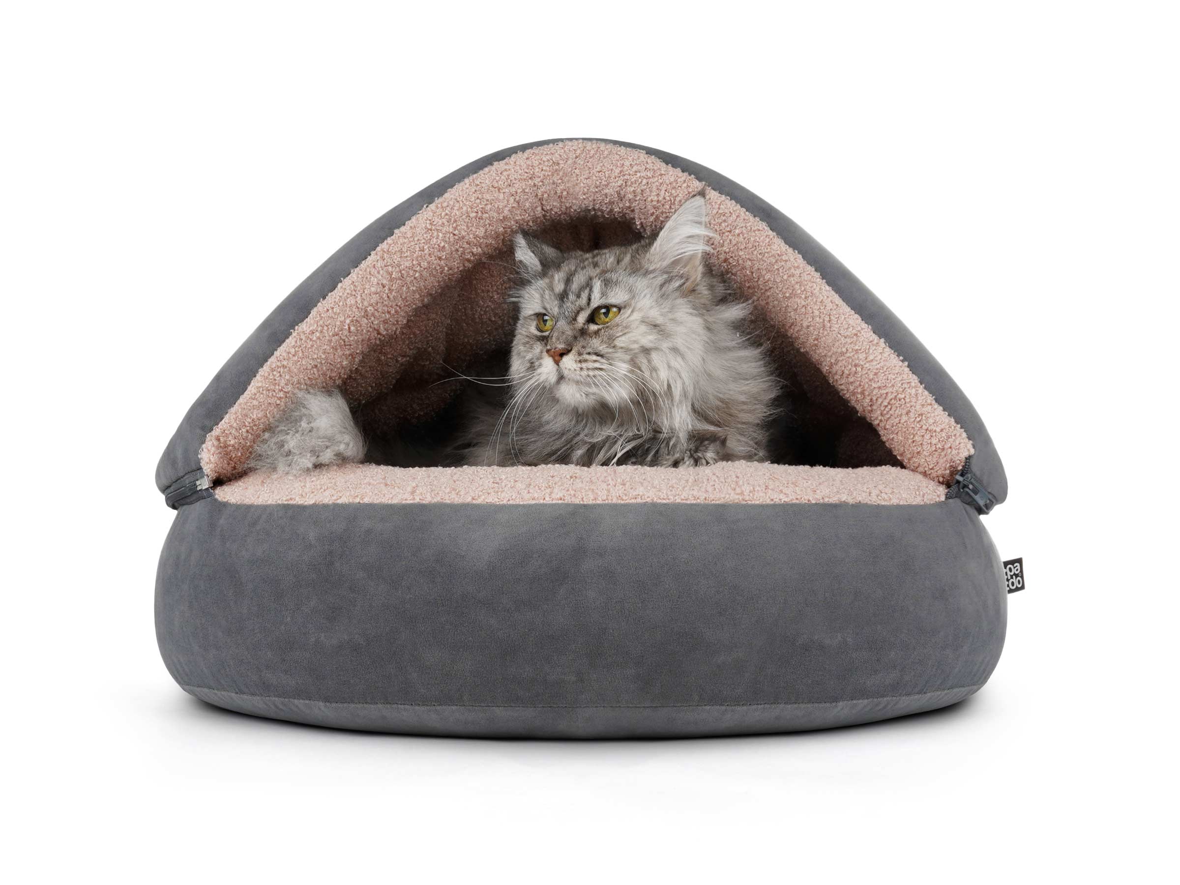 mypado Shell Teddy Cat Cave