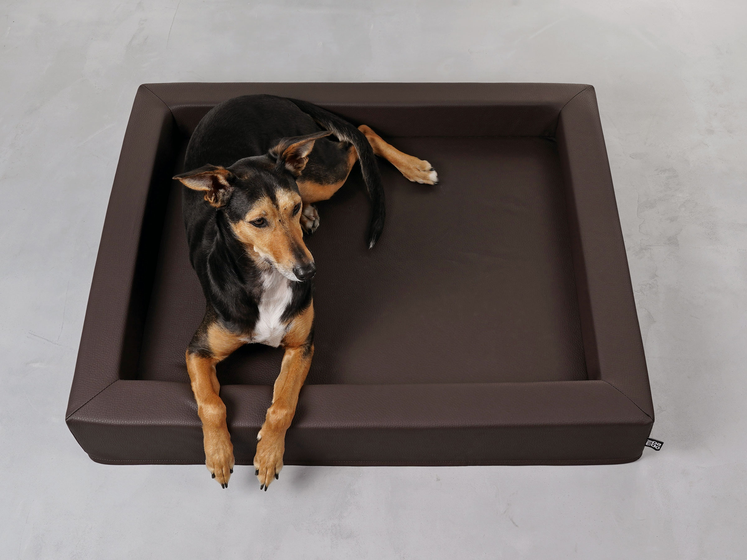 mypado Harko Imitation Leather Premium Dog Bed
