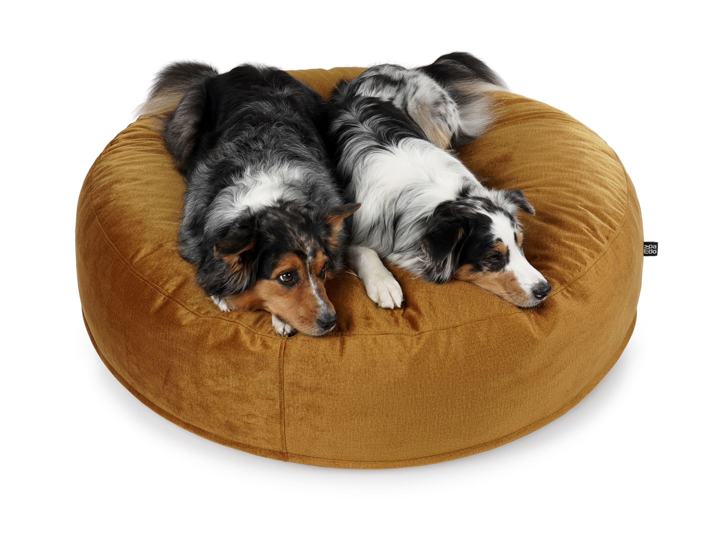 mypado Mio Velvet Dog Cushion