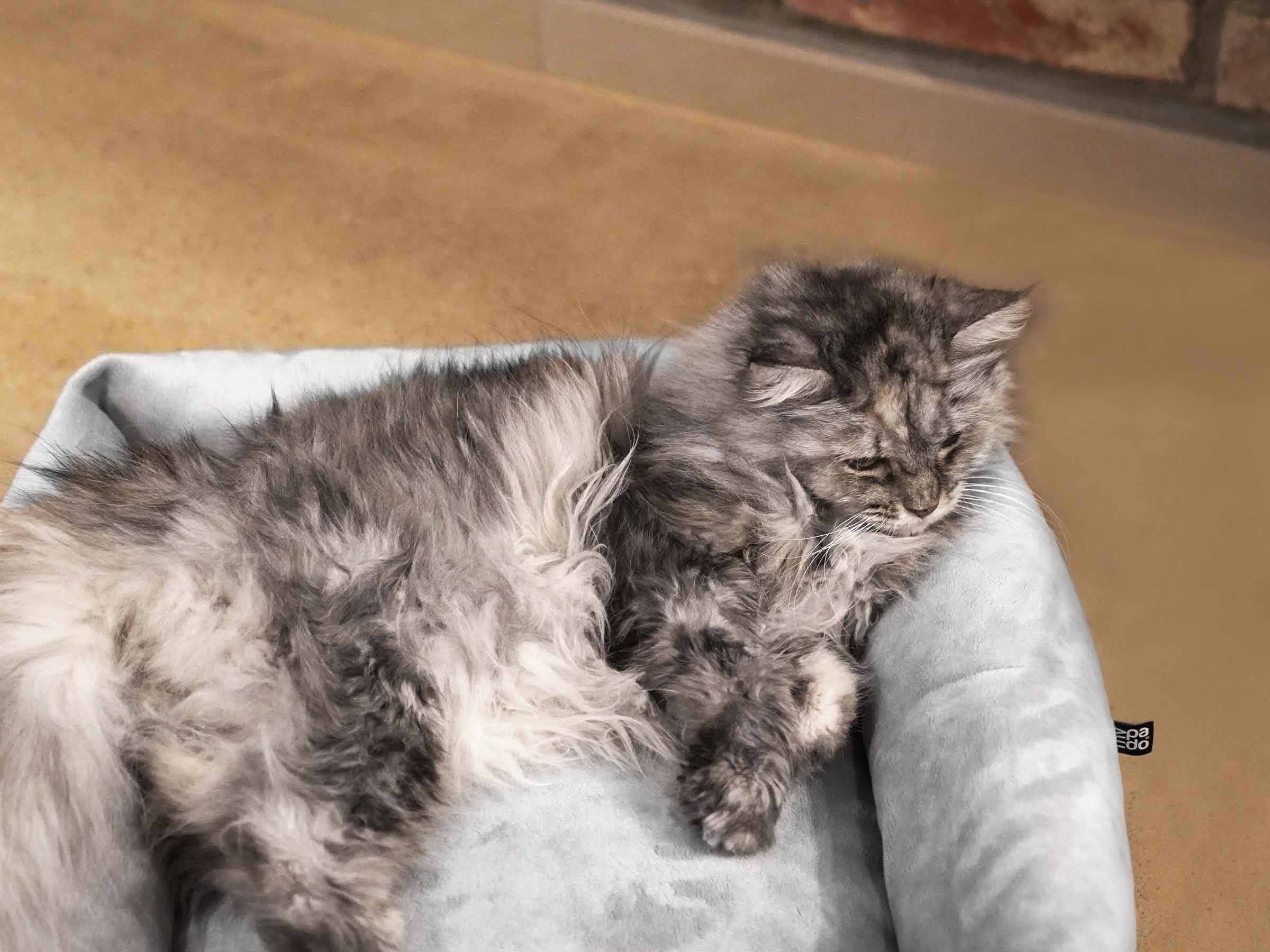 mypado Sena Plushblended Cat Bed