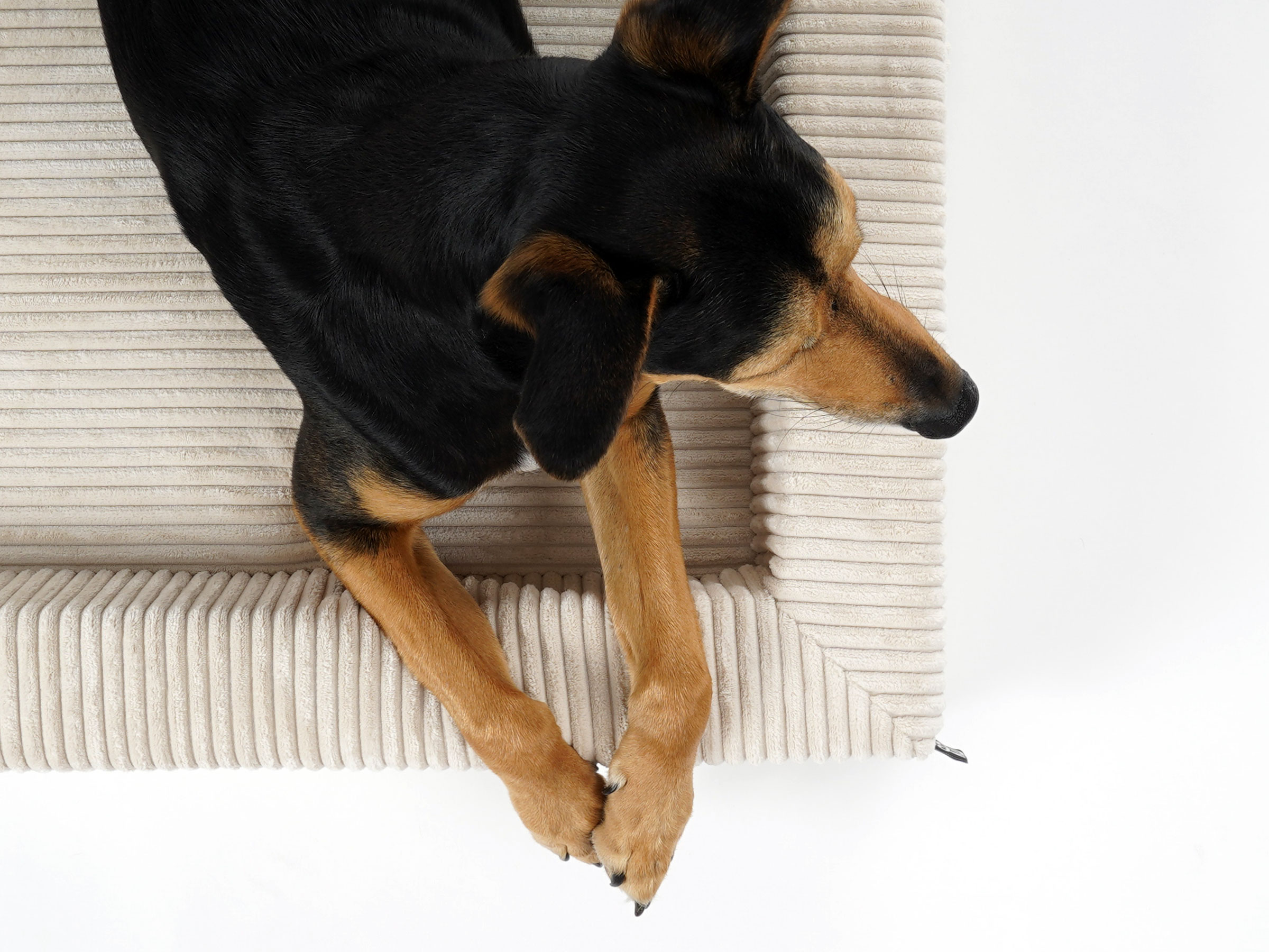 mypado Harko Cord Dog Bed