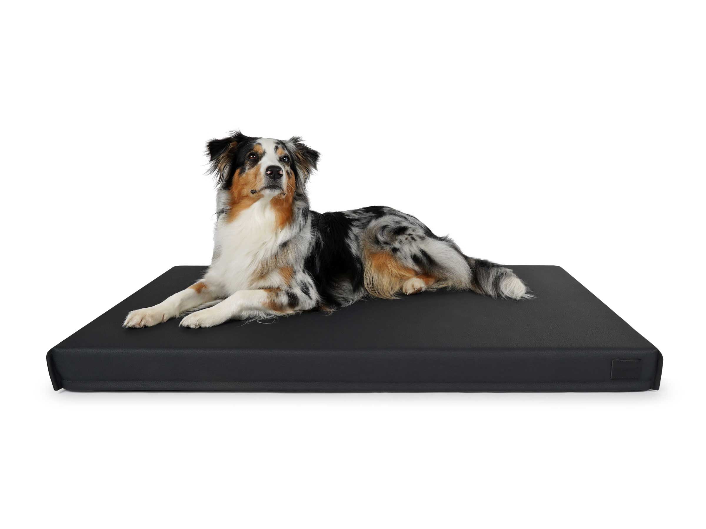 mypado Solana Faux Leather Premium Dog Mat