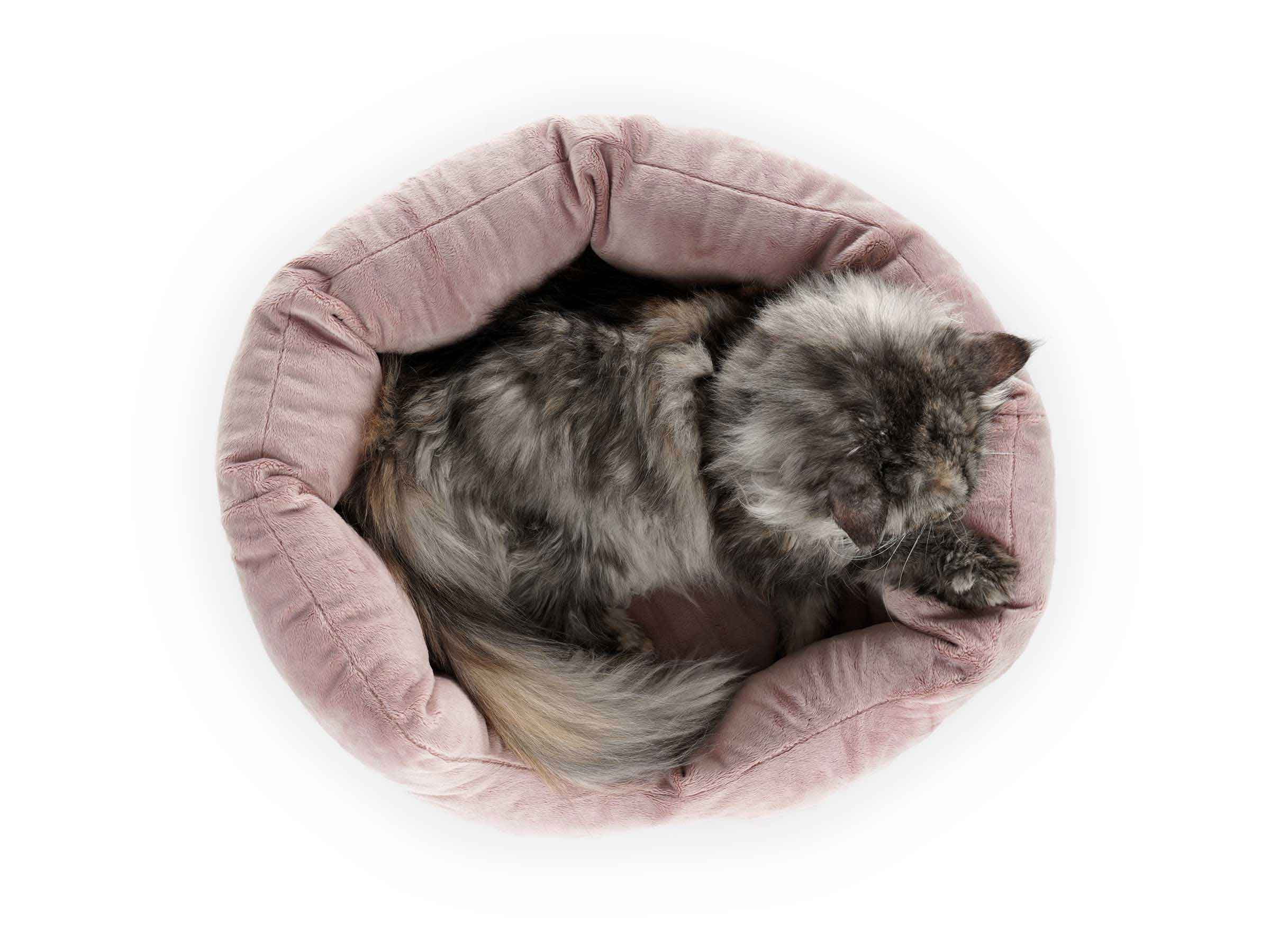mypado Camino Plushblended Cat Bed