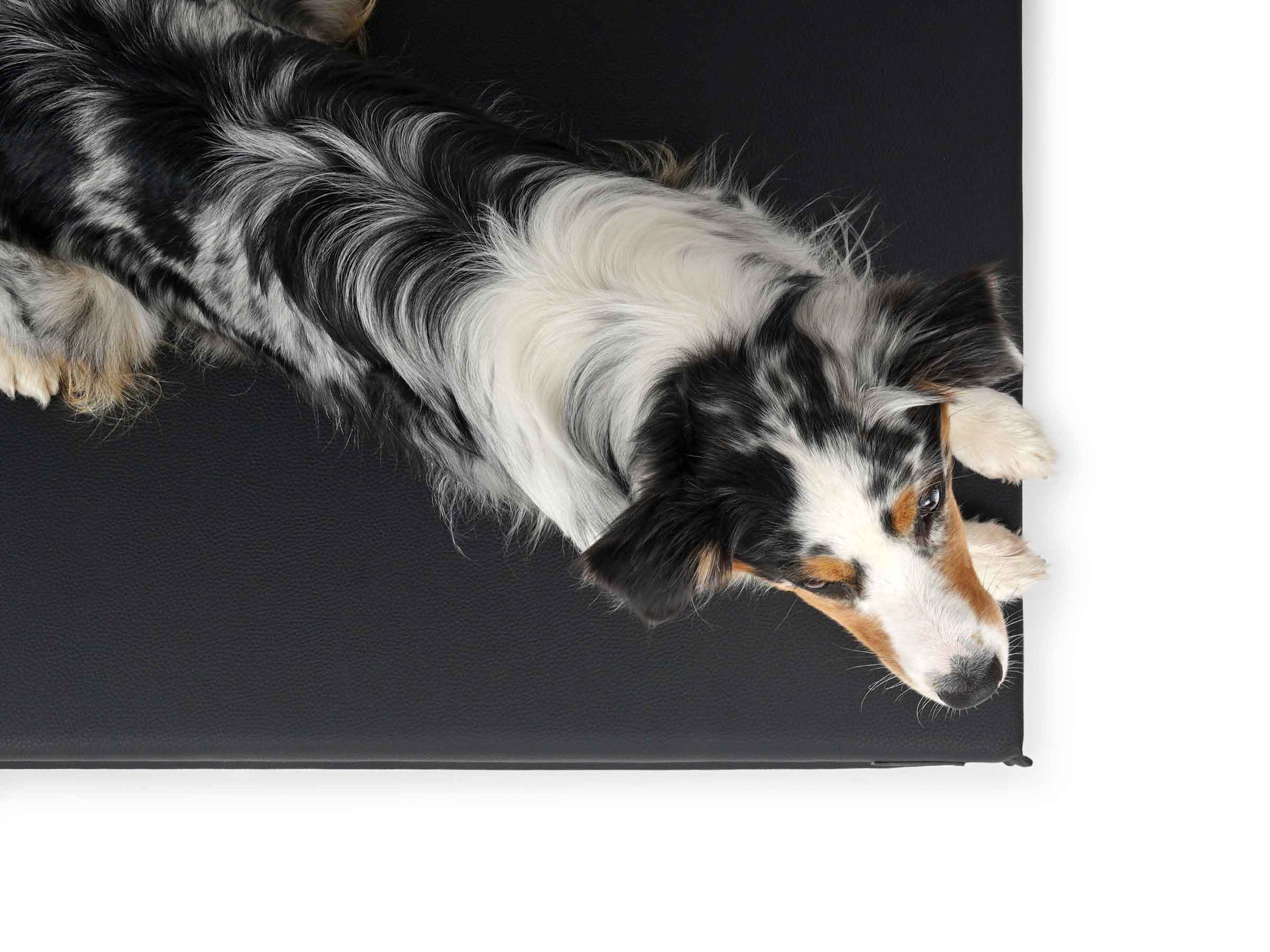 mypado Solana Faux Leather Premium Dog Mat