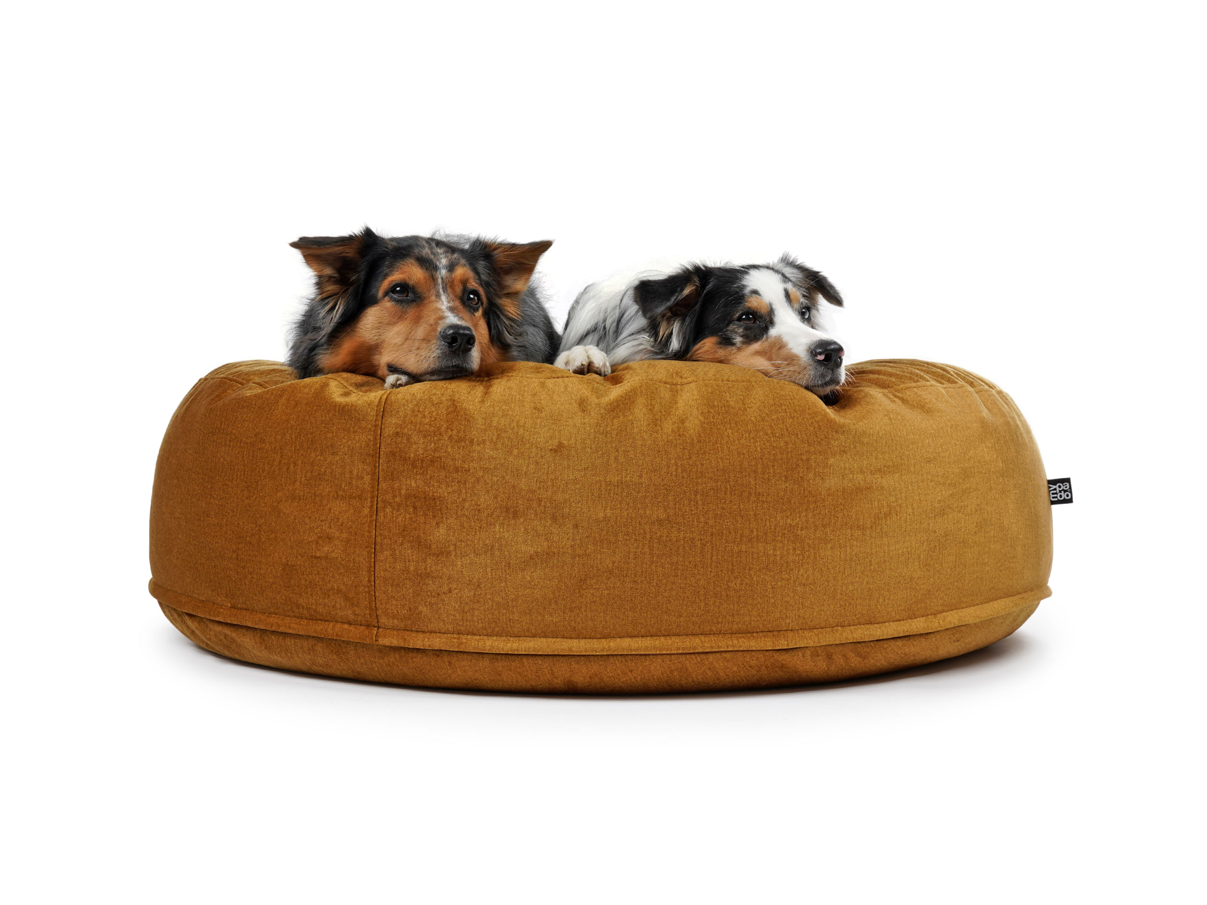 mypado Mio Velvet Dog Cushion