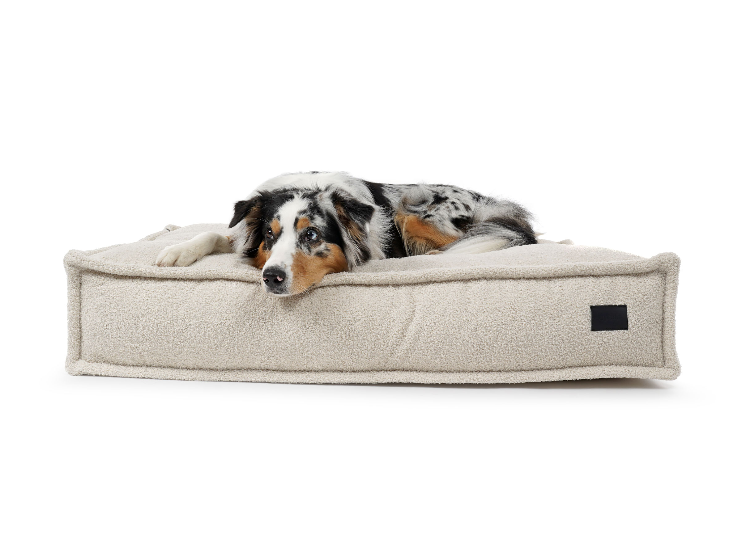 mypado Flow Teddy Dog Pillow