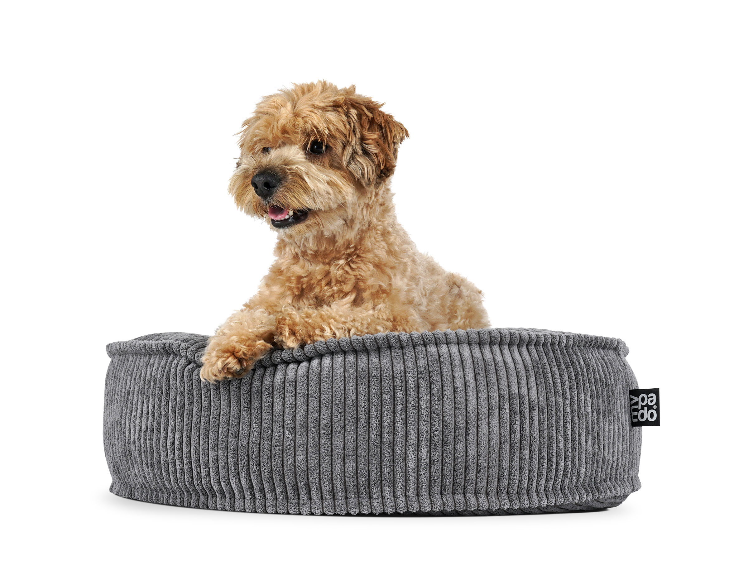 mypado Mio Cord Dog Cushion