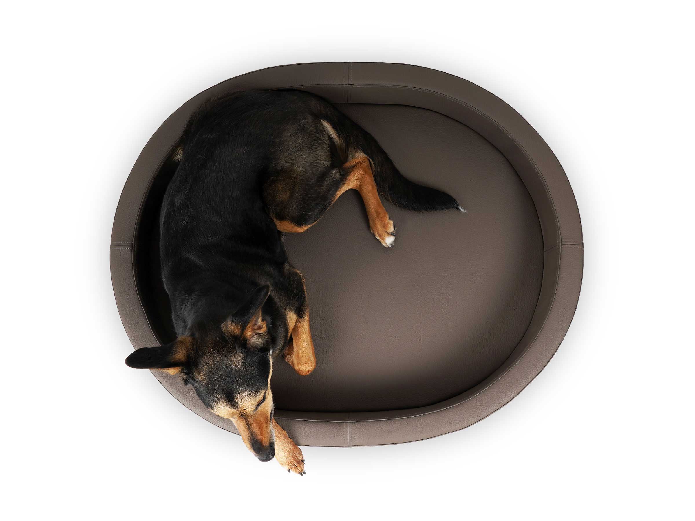 mypado London Imitation Leather Premium Dog Bed