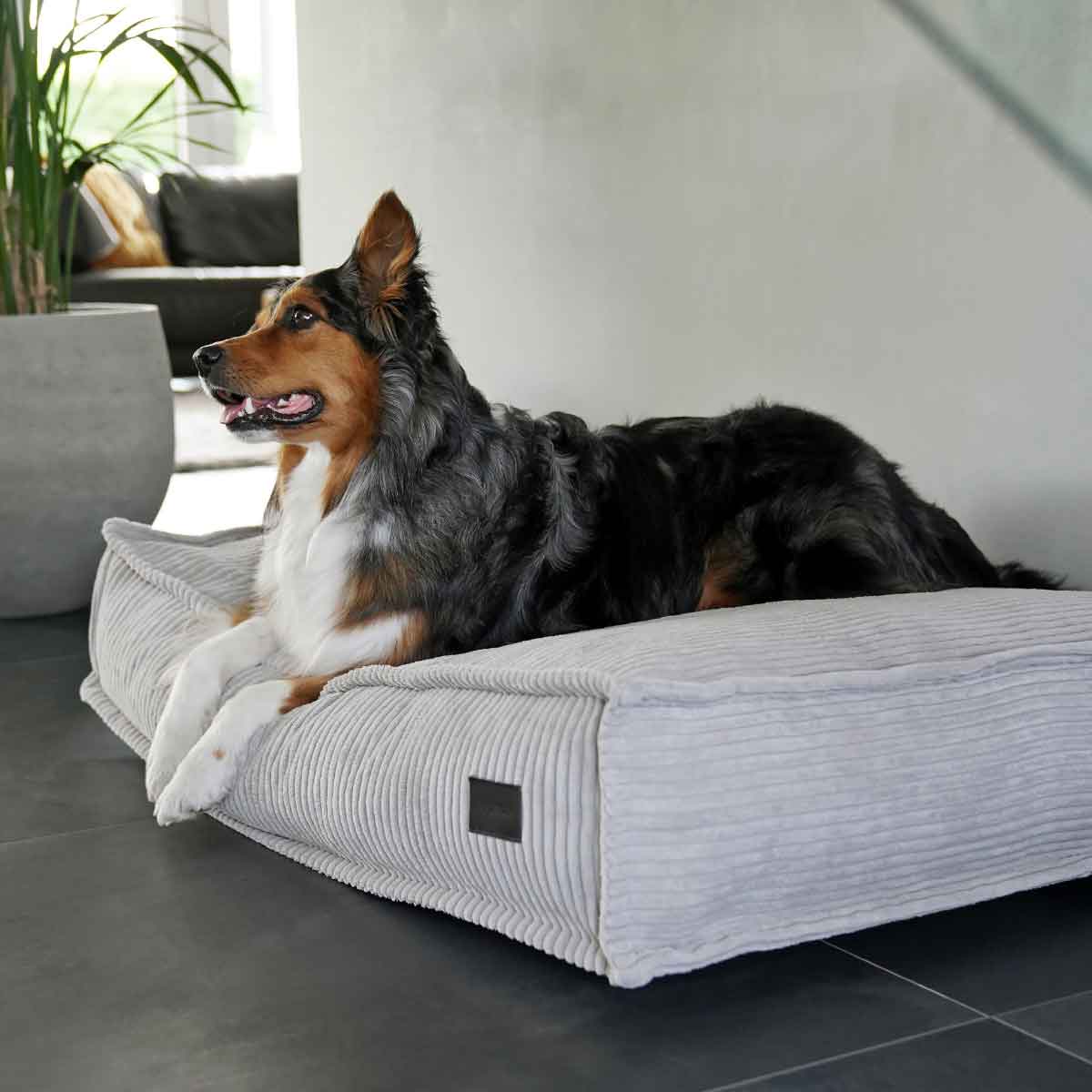 mpd_stse_dsgn_b01_1200