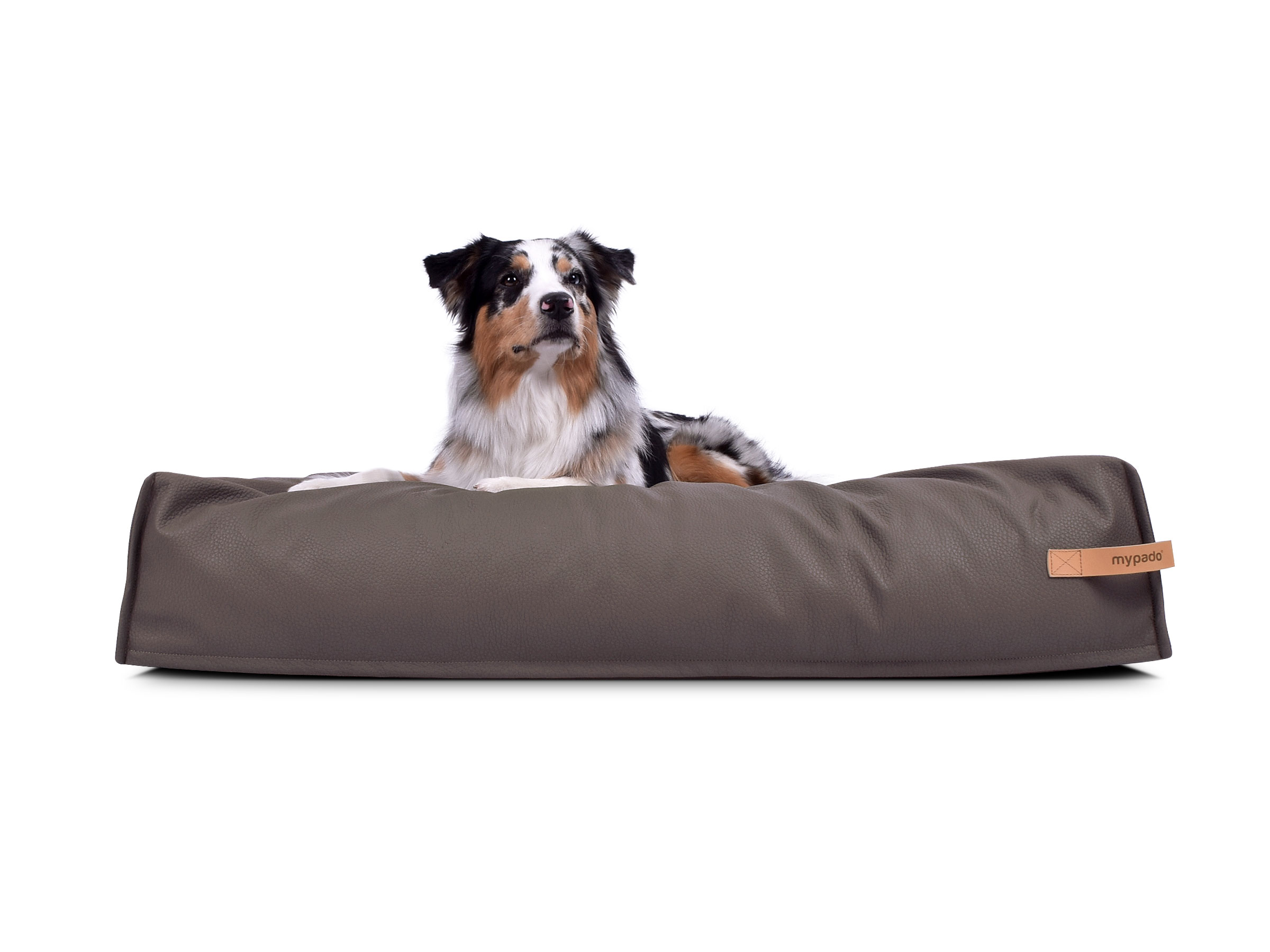 mypado Dute Faux Leather Premium Dog Cushion