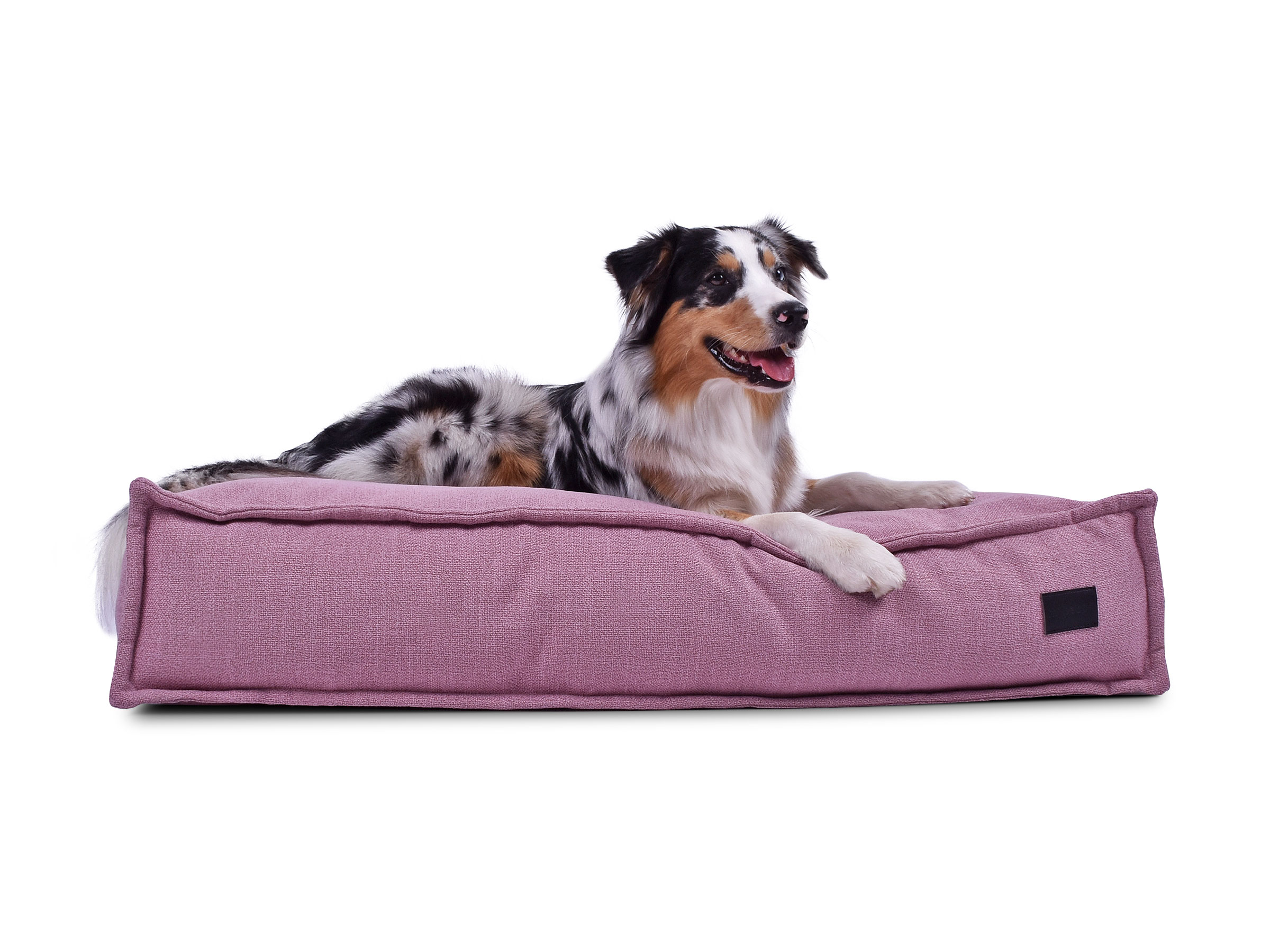 mypado Flow Structure Dog Cushion