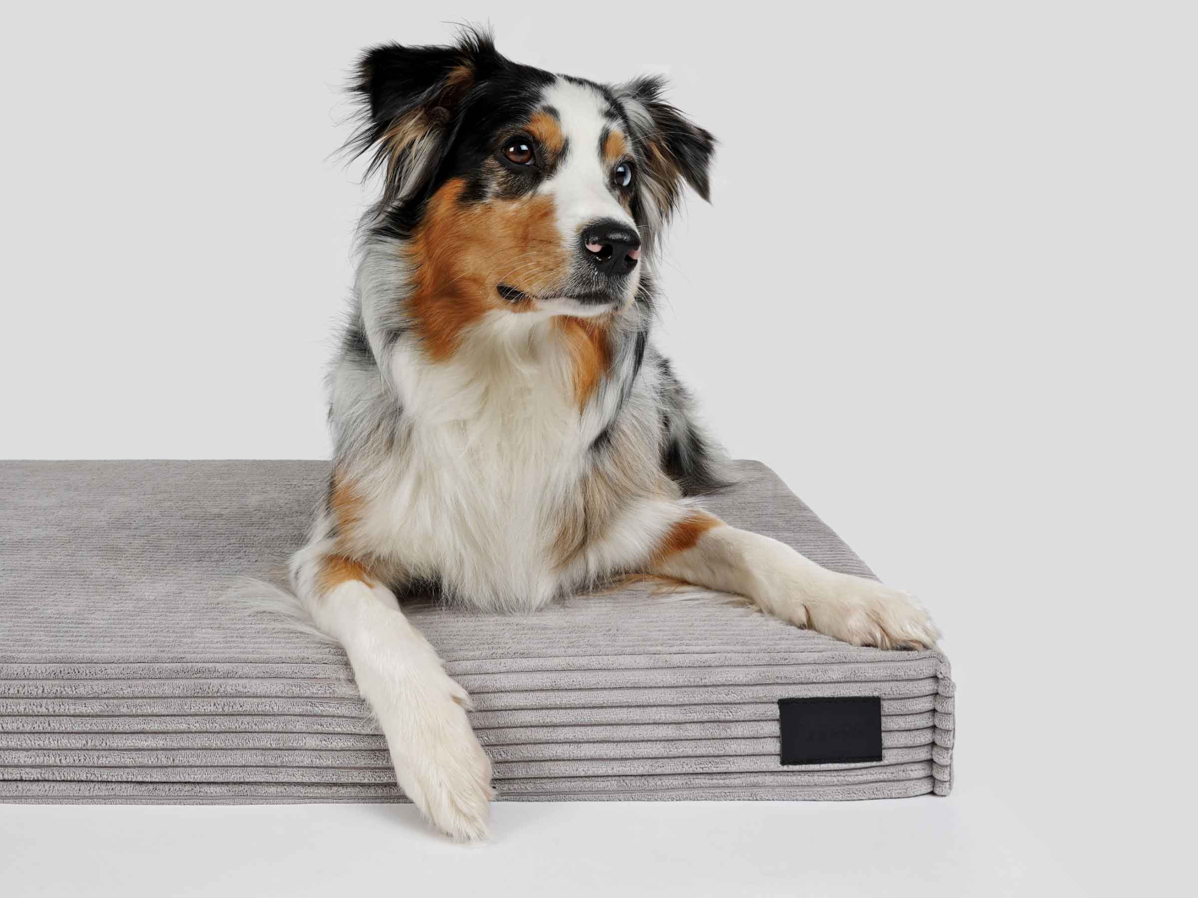 Replacement cover for mypado Solana Corduroy Dog Mat