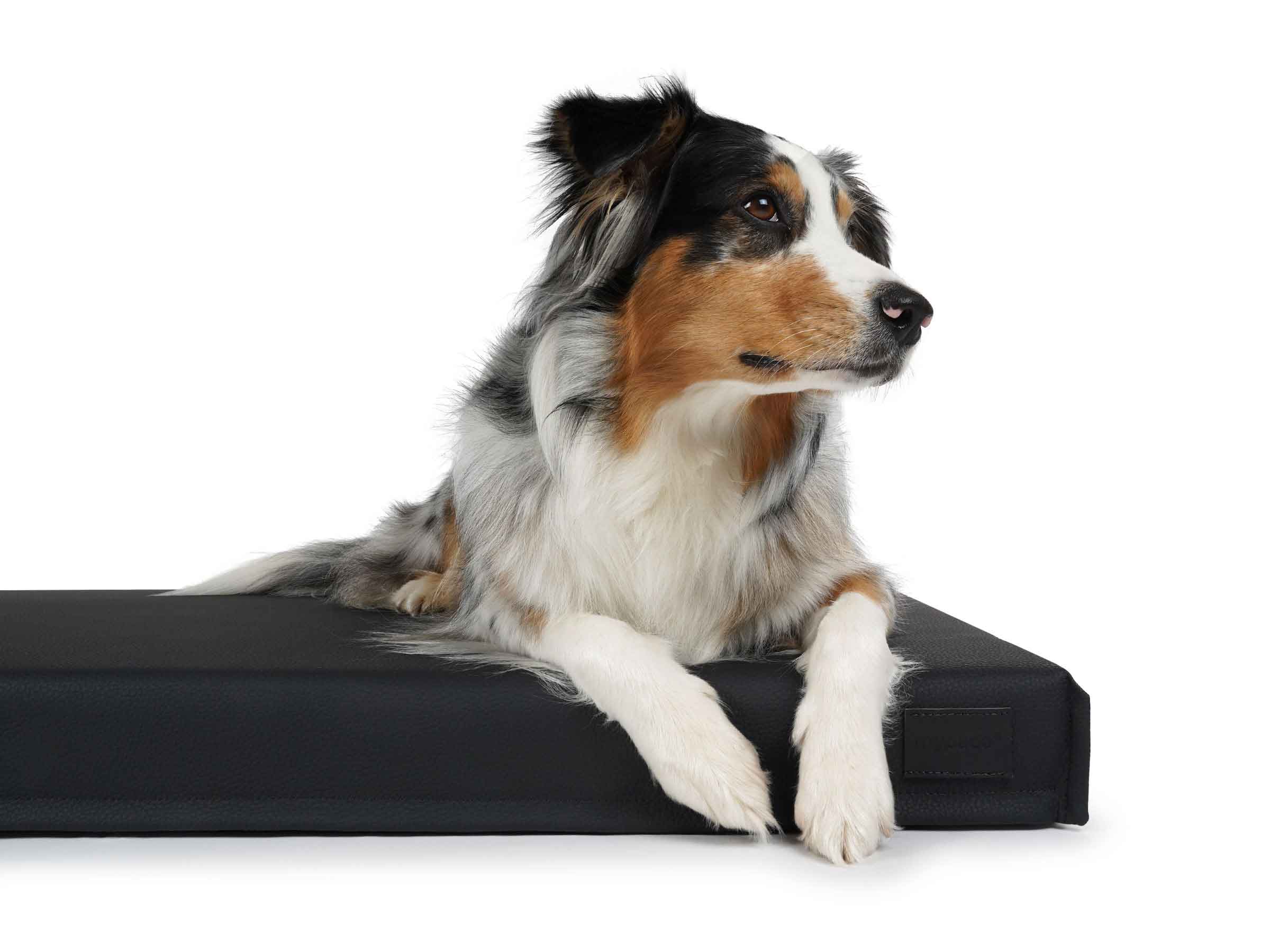 mypado Solana Faux Leather Premium Dog Mat