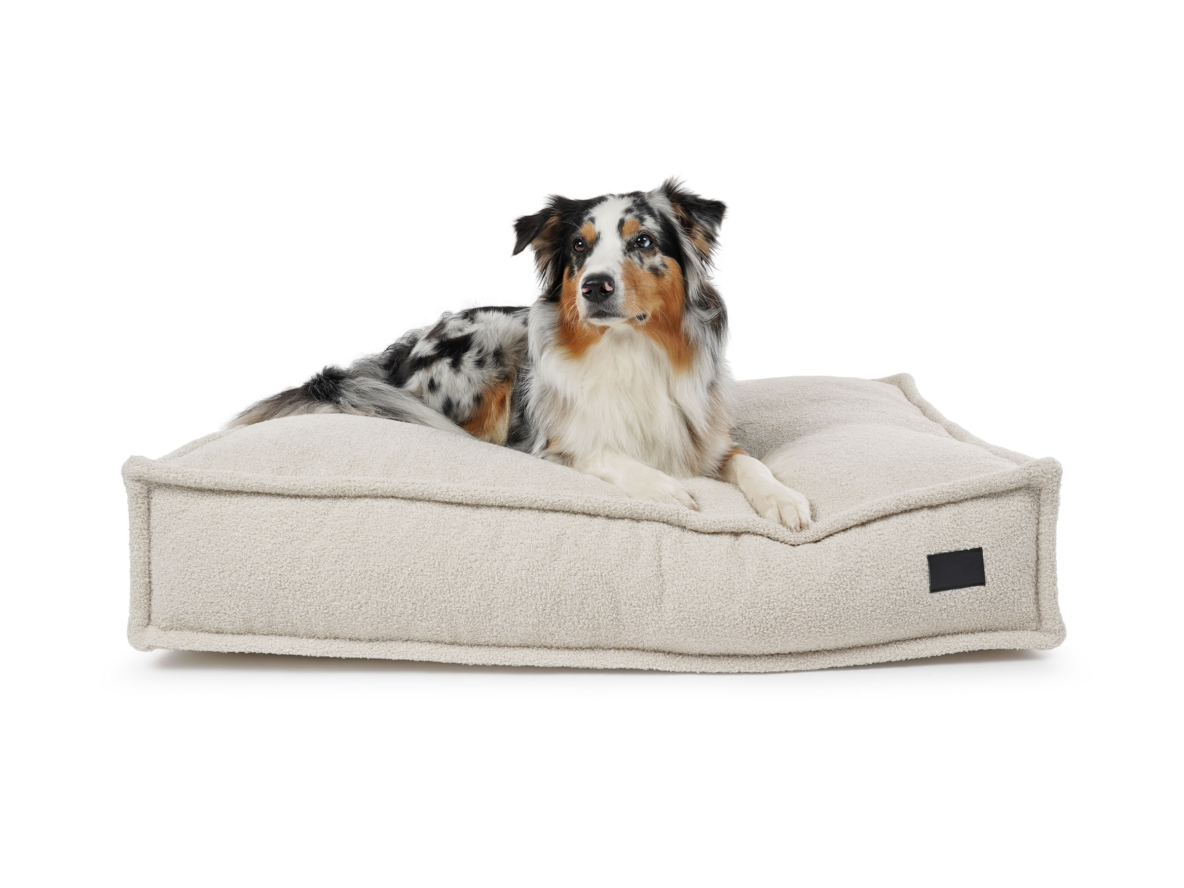 mypado Flow Teddy Dog Pillow