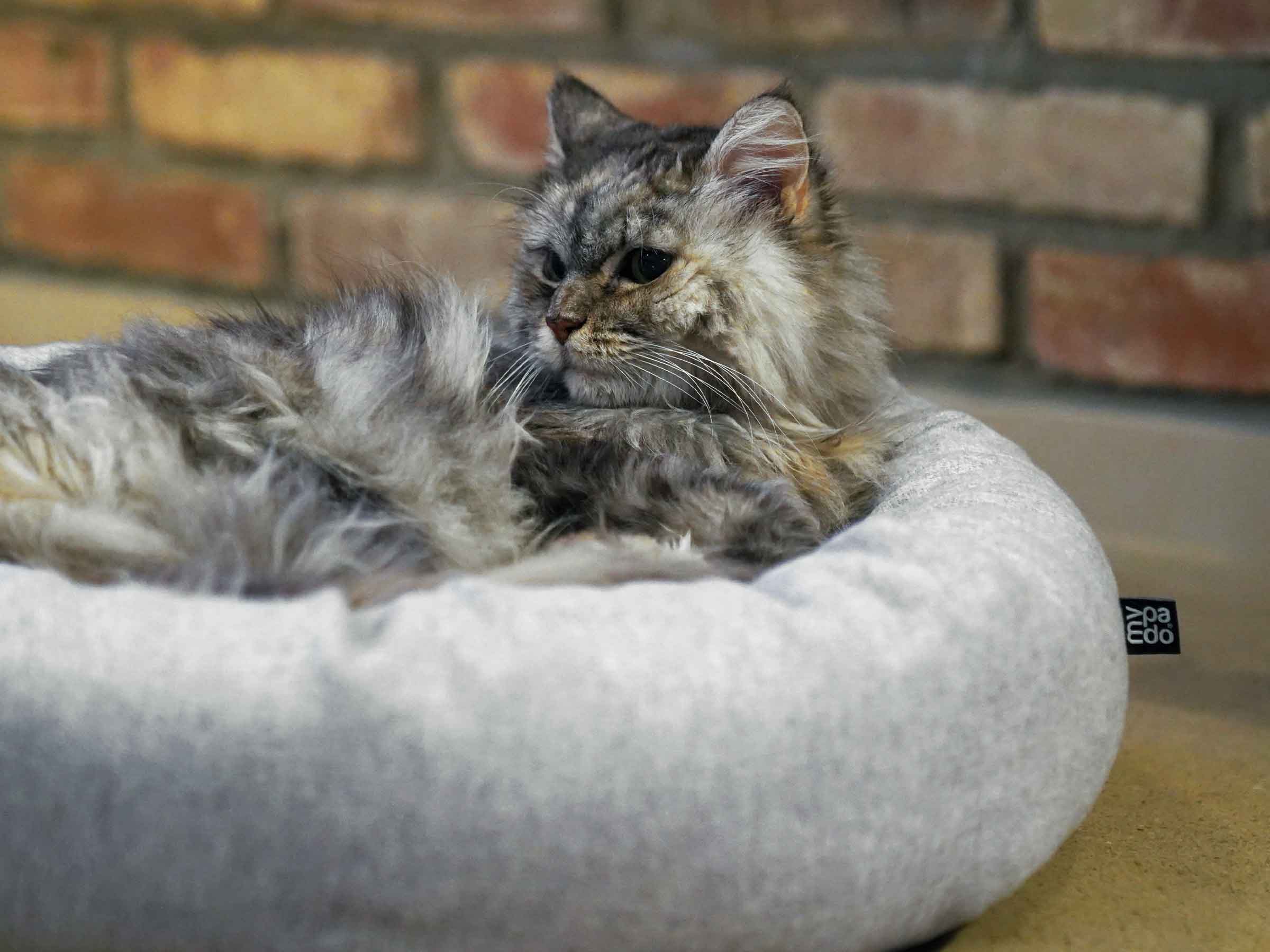 mypado Loop Silver Cat Bed