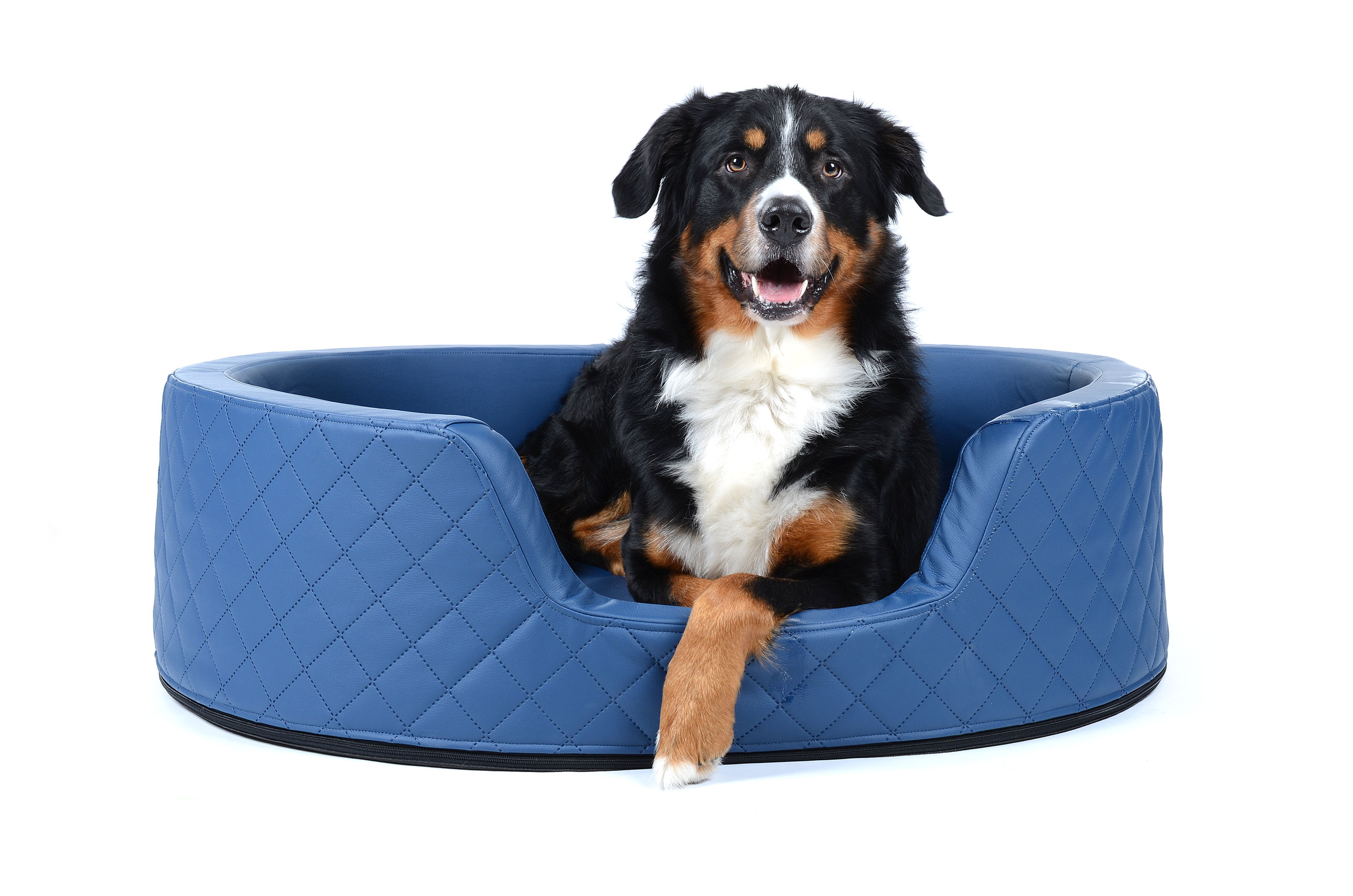 mypado London Faux Leather Dog Bed